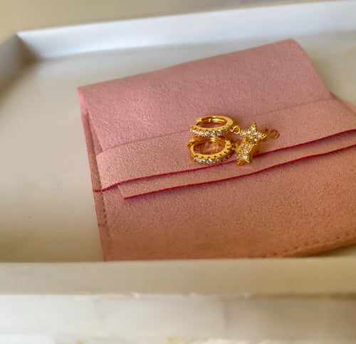 Stainless steel earrings