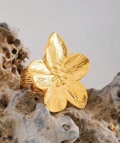 Stainless steel ring