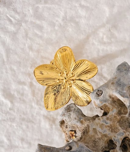 Stainless steel ring