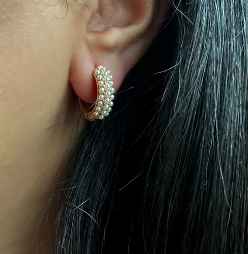 Stainless steel earrings