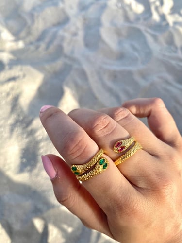 Snakey ring