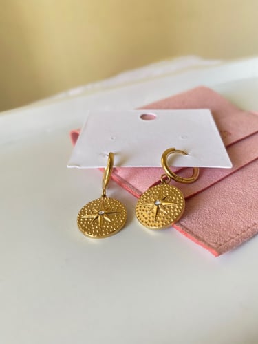 Stainless steel earings