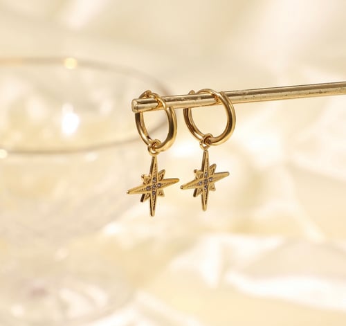 Stainless steel earrings