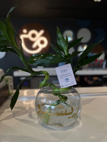 حوض سمك فايتر مع اعواد البامبو( يمكن تغير التنسيق)