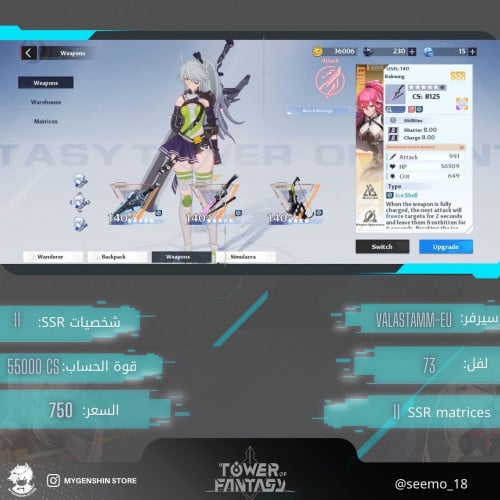 (seemo_18) حساب سيرفر اوروبي-Valstamm لفل 73 (11شخ...