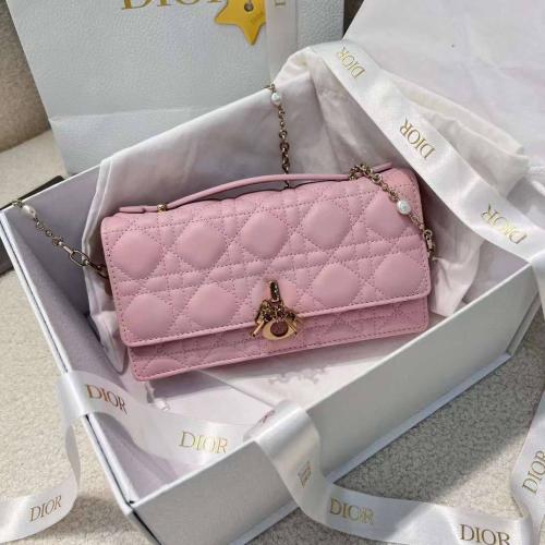 Dior Pouch