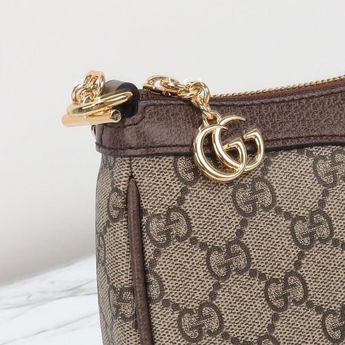 Gucci bag