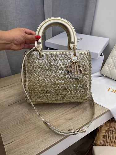 Dior Bag Limited edition