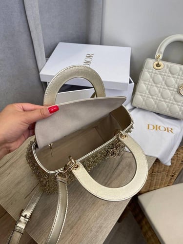 Dior Bag Limited edition