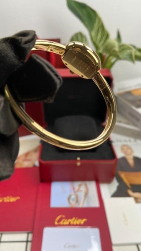 Cartier watch