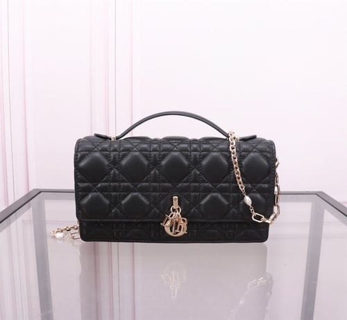 Dior saddle pouch with golden hardware