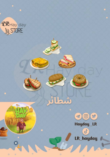 100 شطيرة | هاي داي