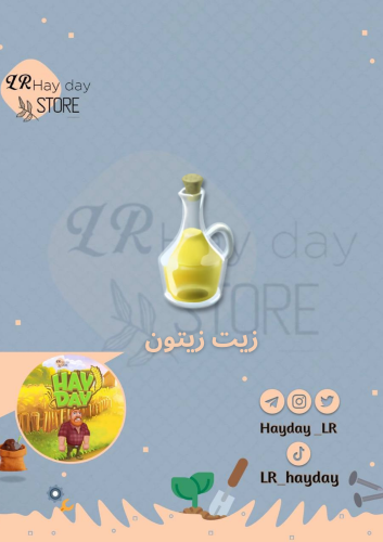 50 زيت زيتون | هاي داي