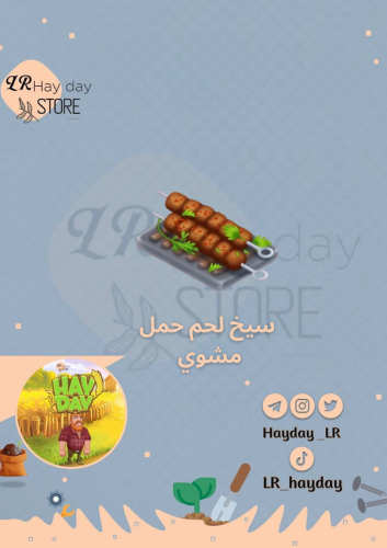 50 سيخ لحم حمل مشوي /هاي داي