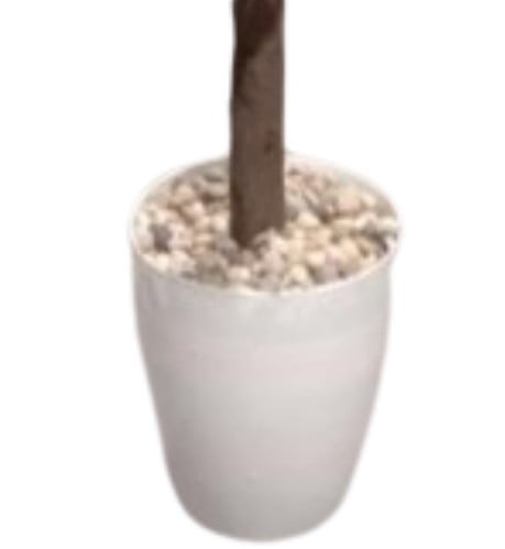 فازة شجرة جهنمية