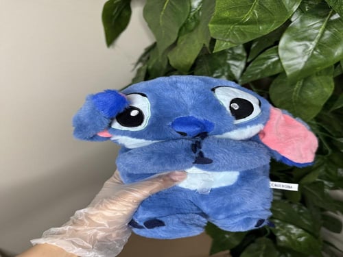 بوكس ستيتش موسيقى