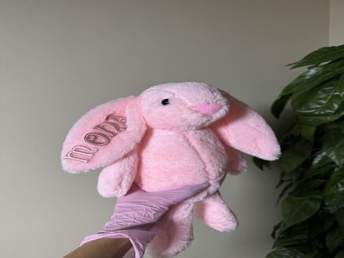 دمية ارنوب مع الاسم