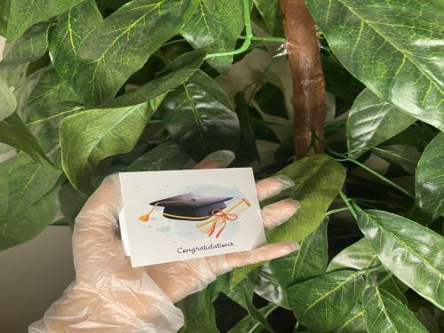 اضافه كرت تخرج على الطلب