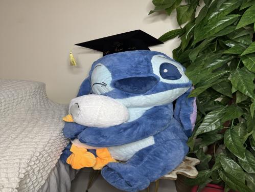 دمية ستيتش وبطوط متخرج العملاق