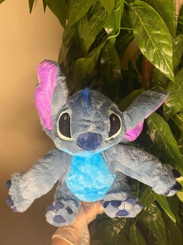 بوكس ستيتش الميلاد