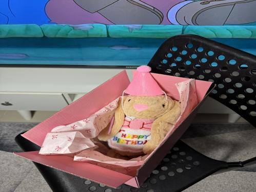 دمية ارنوب ميلاد