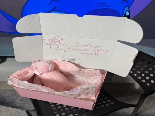 دمية ارنوب مع الاسم