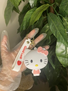 ميدالية هيلوكيتي