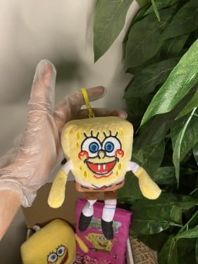 ميدالية سبونج بوب