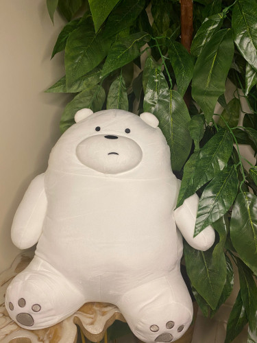 دب حضن قطبي