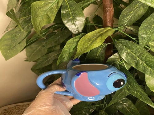 بوكس ستيتش تخرج