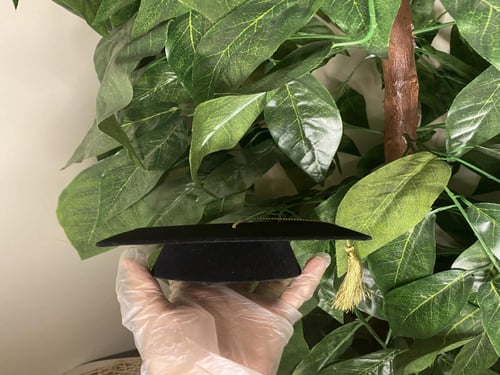 بوكس ستيتش التخرج