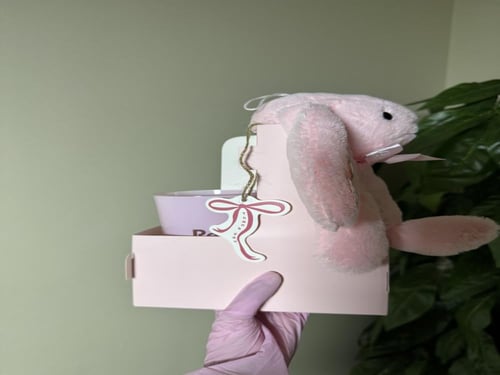 ارنوب مع كوب ردبول