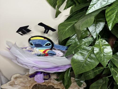 باقة ستيتش المتخرج