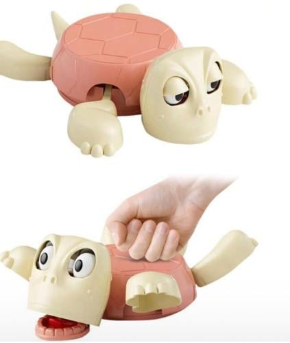 سلحفاة مفاجئة