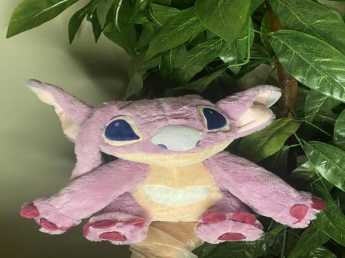 بوكس انجل الميلاد