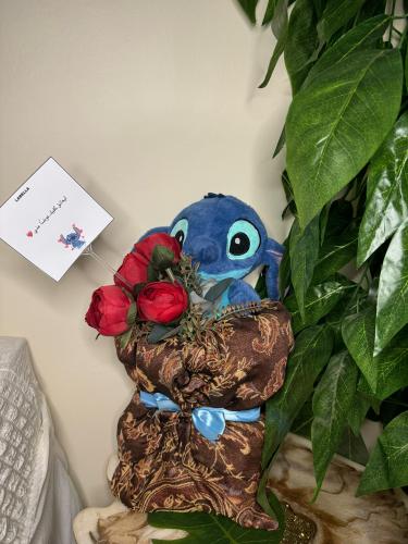 باقة كشميري ستيتش