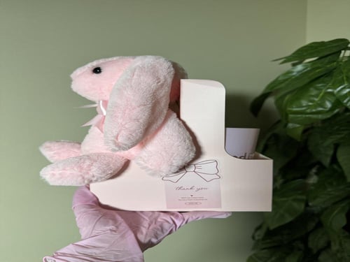 ارنوب مع كوب ردبول