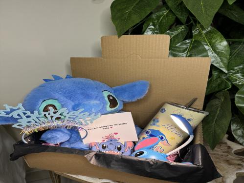 بوكس ستيتش الميلاد