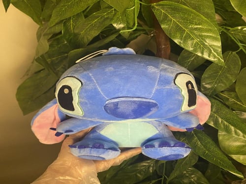 بوكس ستيتش الميلاد