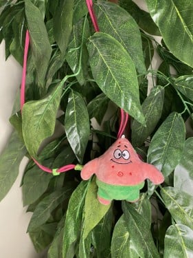 تعليقة جوال بسيط