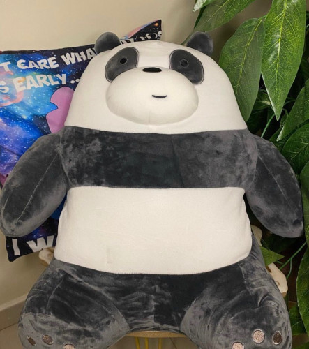 دب باندا الحضن