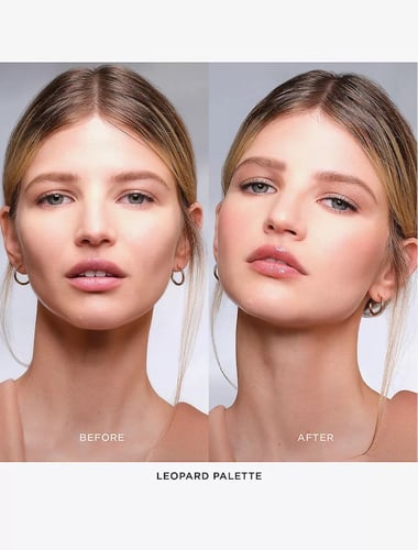 Ambient Lighting Edit Unlocked palette - LEOPARD