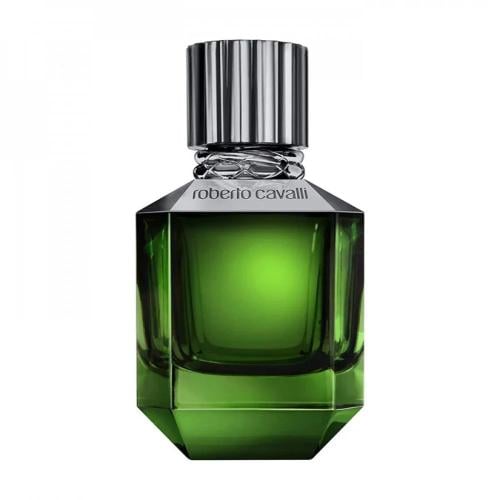 عطر روبرتو كفالي بارادايس فاوند الرجالي او دو توال...