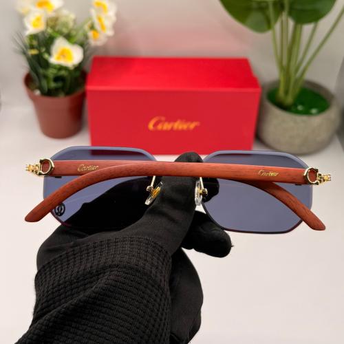 نظاره كارتير