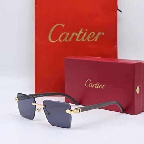 نظارات كارتير مع الملحقات