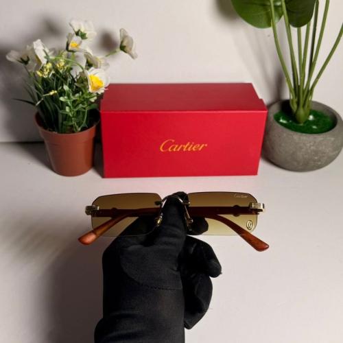 نظارات كارتير