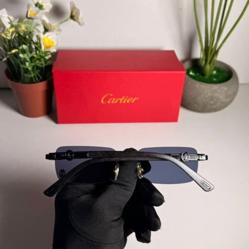 نظاره كارتير