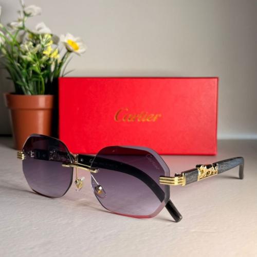 نظارات كارتير مع الملحقات