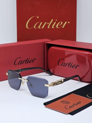 نظارت كارتير مع الملحقات