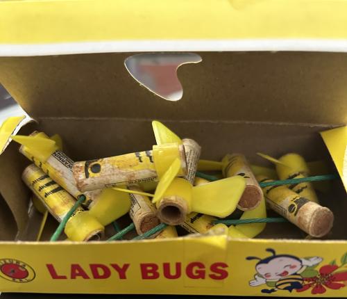 طراطيع نحلة اصلية علبة فيها 10 حبة ب ٦٠